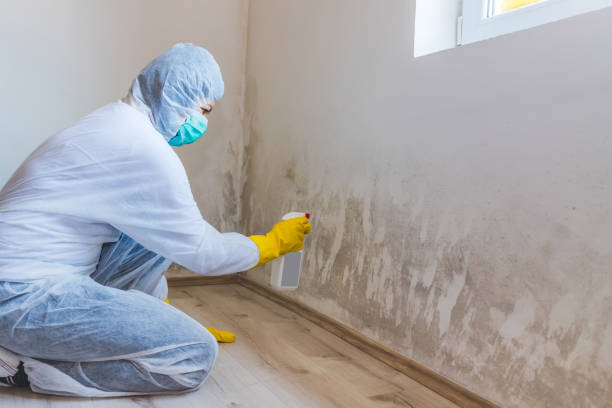 Hvac And Air Duct Mold Remediation inspection of HVAC system in Boyce